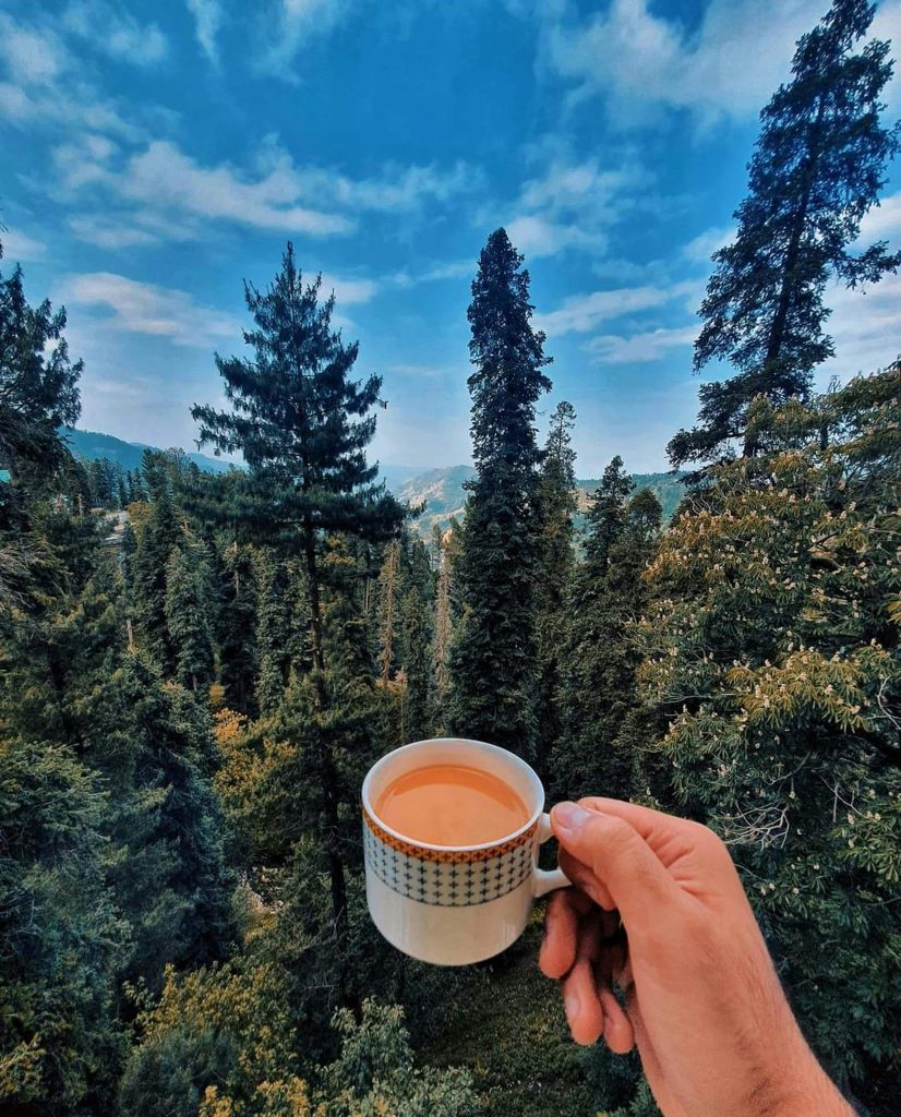 Nathia Gali Tour Guide: What to See, Do, and Eat in a Short Visit Nathia Gali Tour Guide: What to See, Do, and Eat in a Short Visit